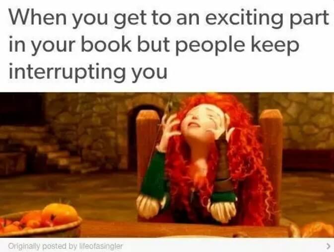 41 Book Lover Memes Only People Who Love Books More Than People Understand