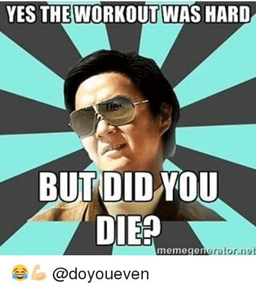 But Did You Die - From Mr Chow In Hangover To Internet Virality Meme