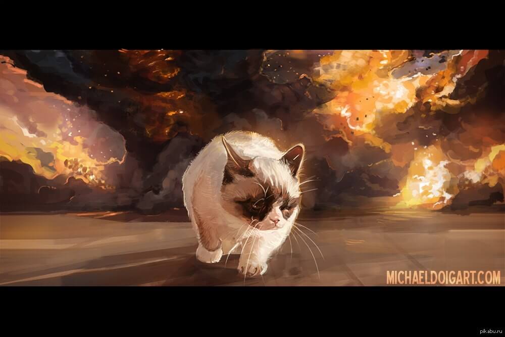 cat walking away from explosion 11 (1)