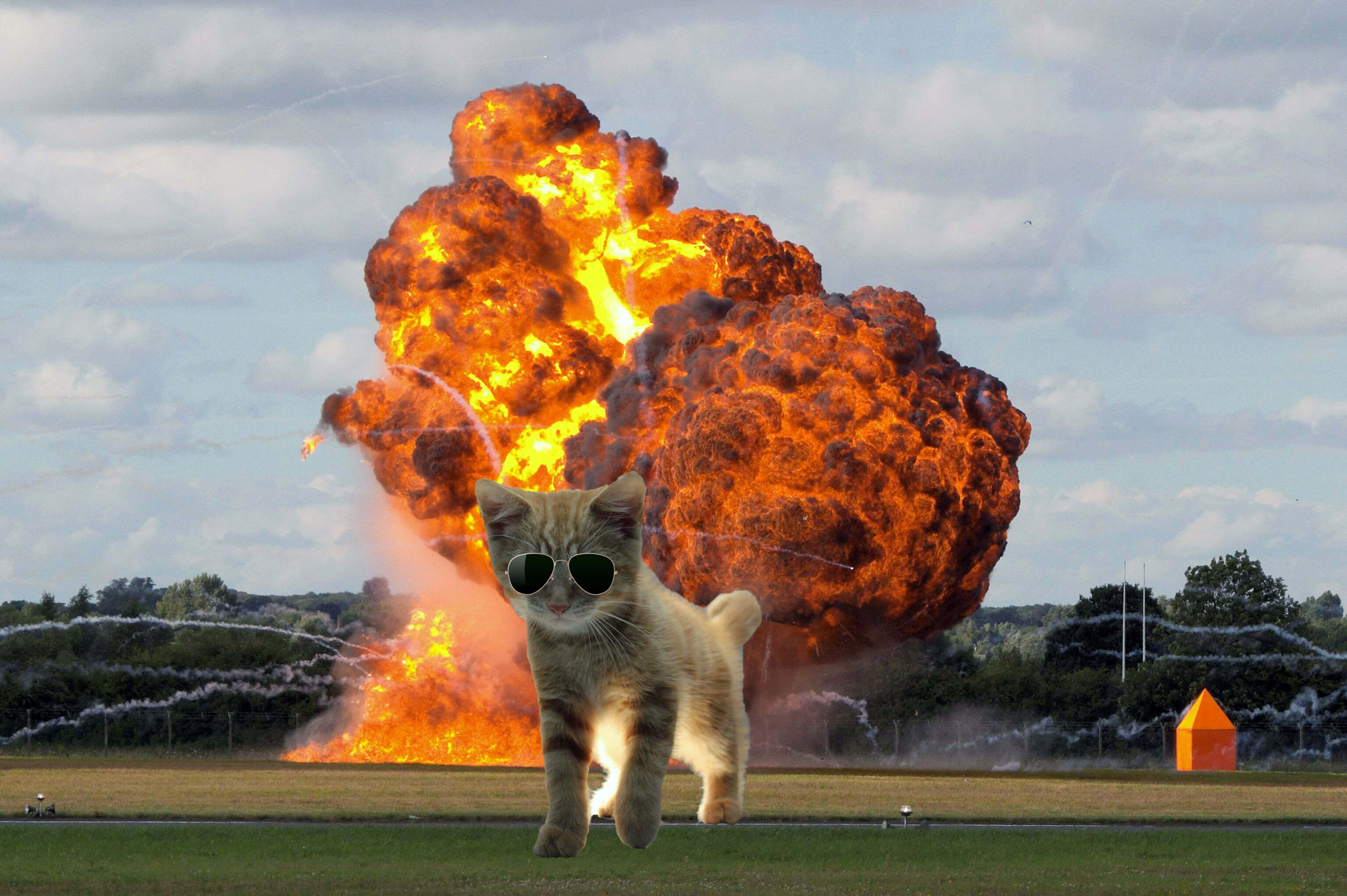 20 Cats Walking Away From Explosions As a Parody To Cool Guys Don't