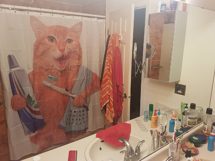 31 Funny Shower Curtains That Are So Good They Should Be In a Museum