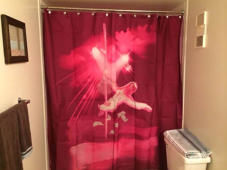 hilarious shower curtains 17 (1)