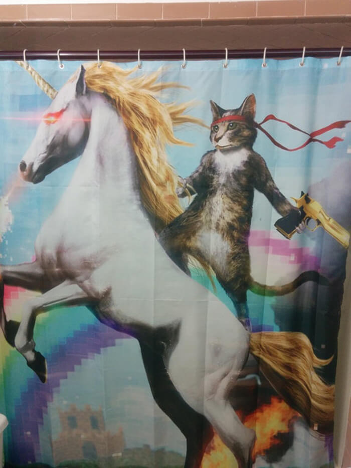 funny bathroom curtains 7 (1)