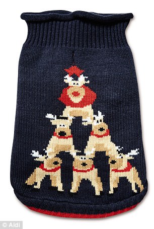 matching Christmas jumpers for pets and owners 2 (1)