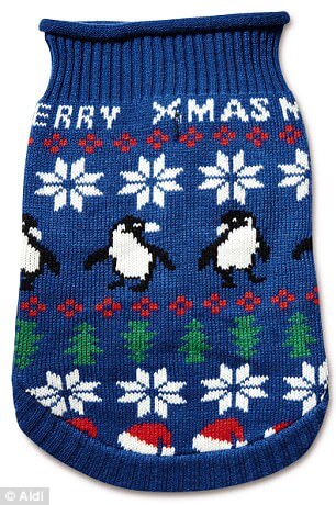 matching Christmas jumpers for pets and owners 6 (1)