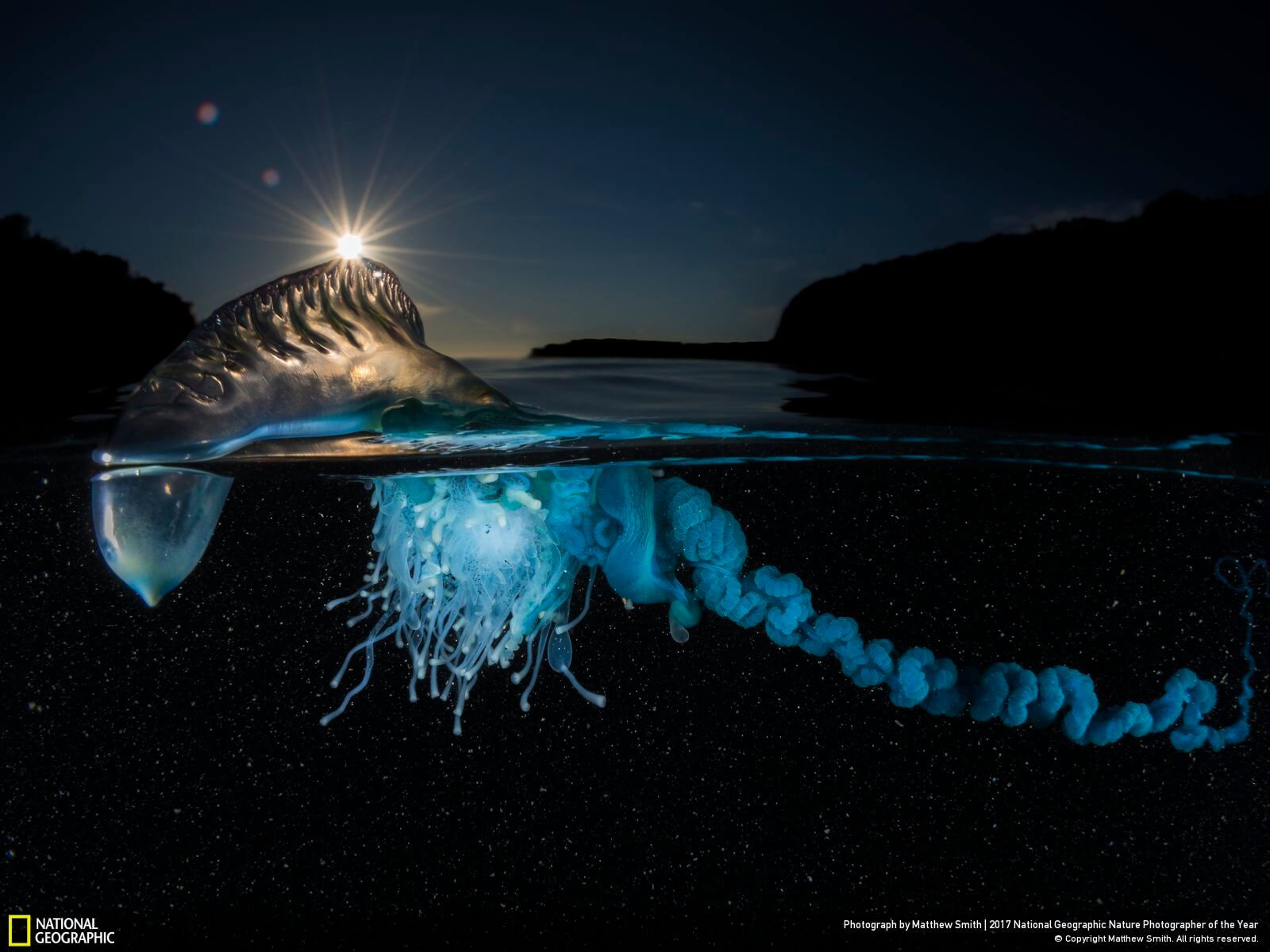 national geographic nature photographer of the year winners 17 (1)