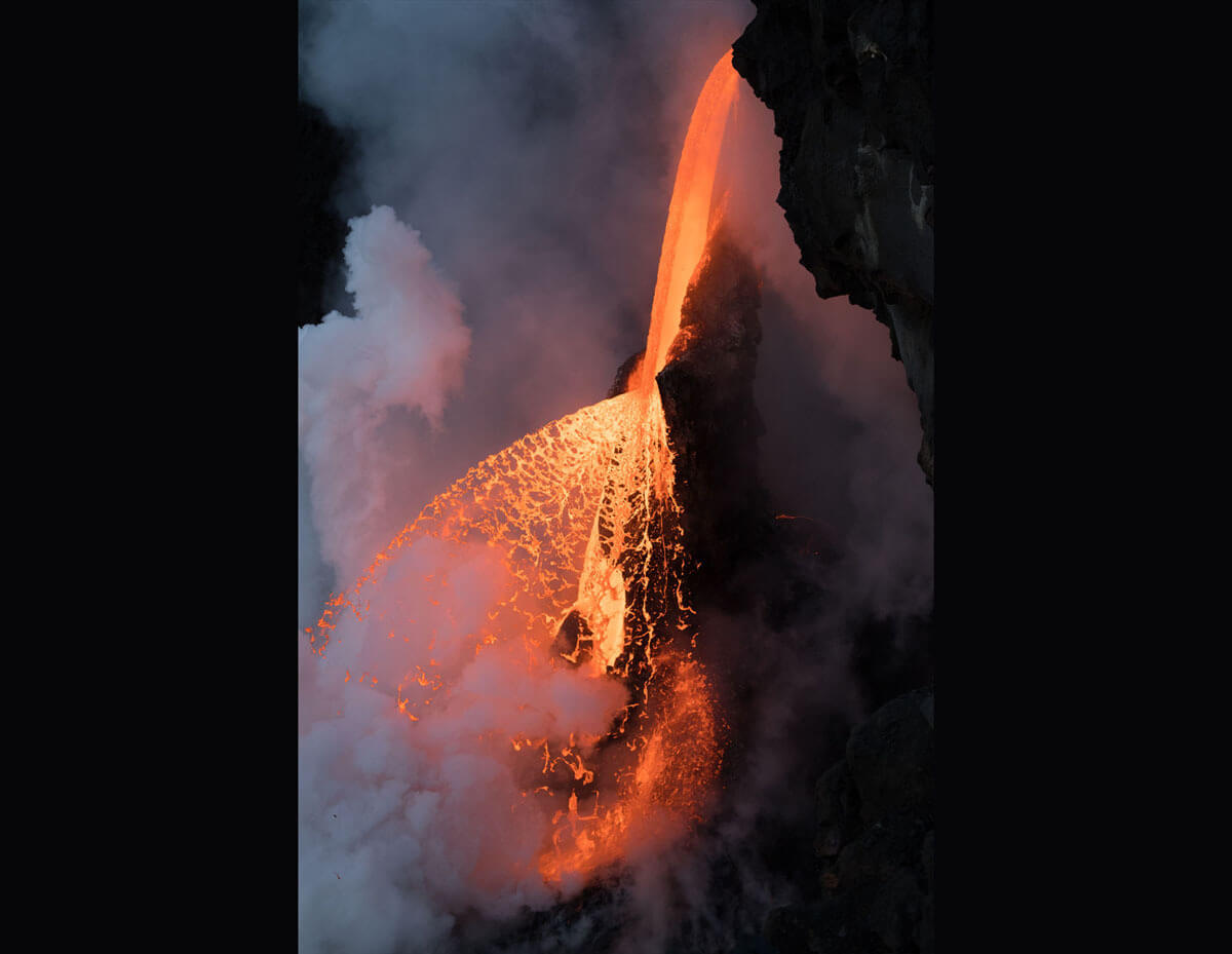 national geographic nature photographer of the year winners 5 (1)