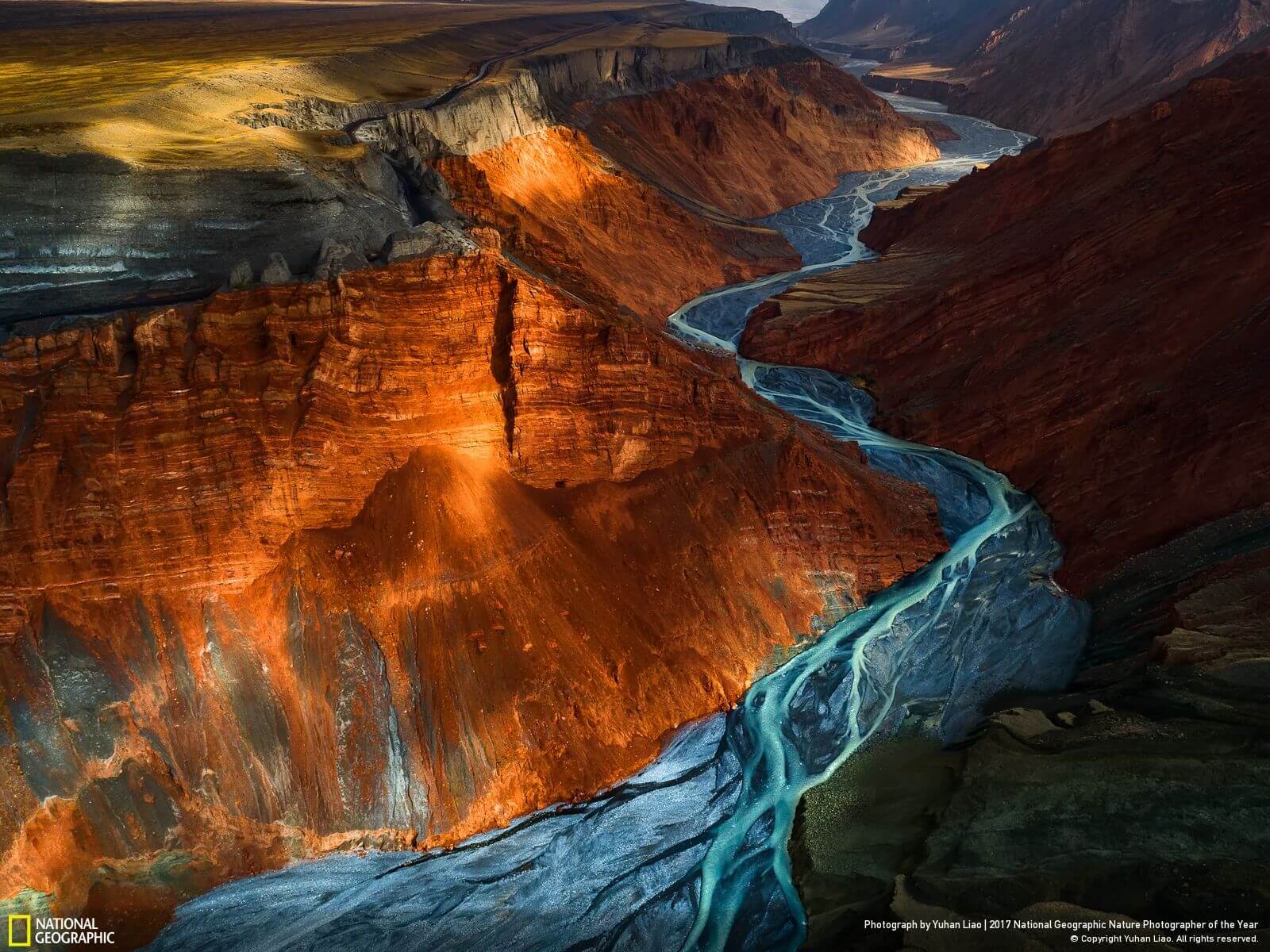 national geographic nature photographer of the year winners 6 (1)