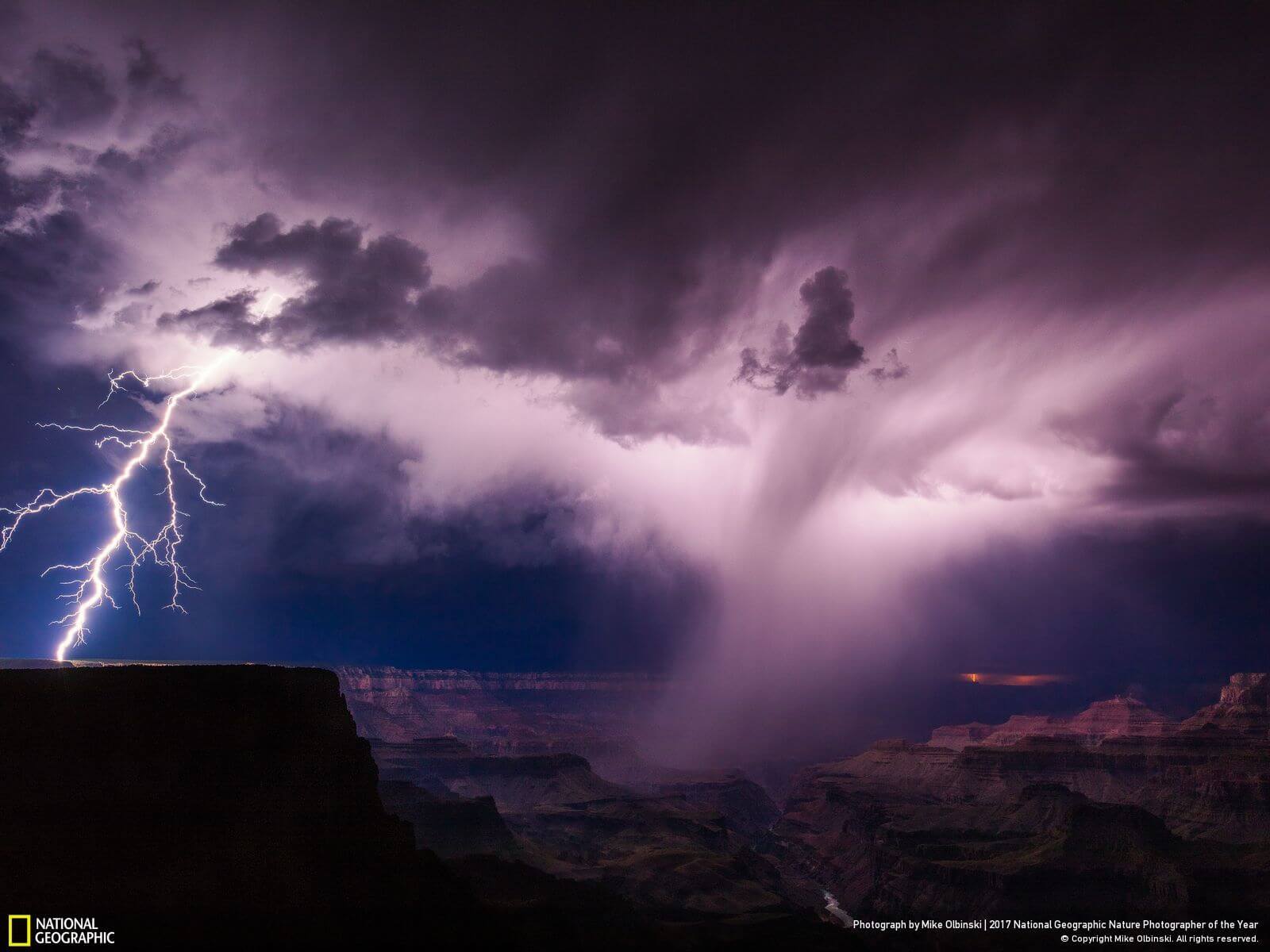 national geographic nature photographer of the year winners 8 (1)