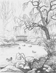 pencil sketch of nature 14 (1)