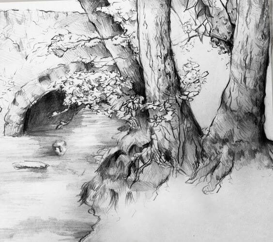 Drawing Video Pencil Drawing In Nature - Drawing Image