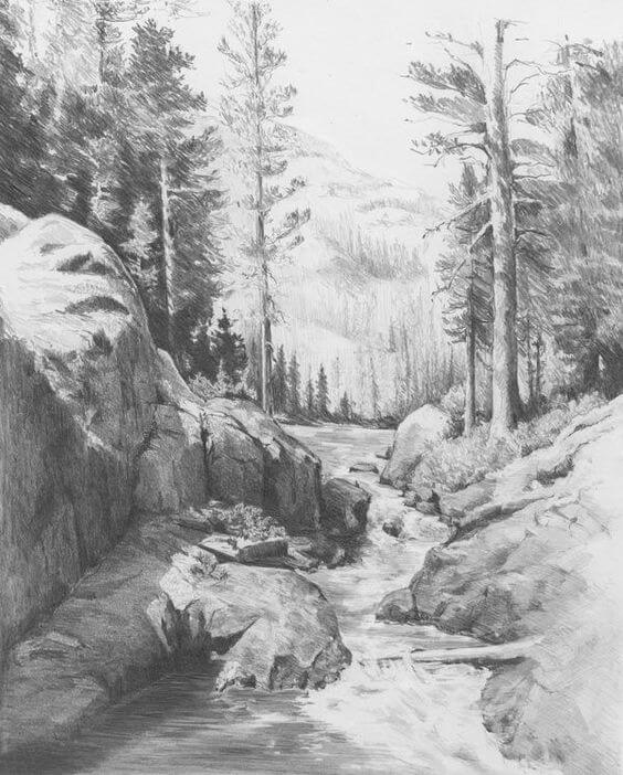 Pencil Sketch Art Nature