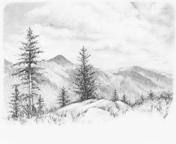 Amazing Pencil Drawings Of Nature