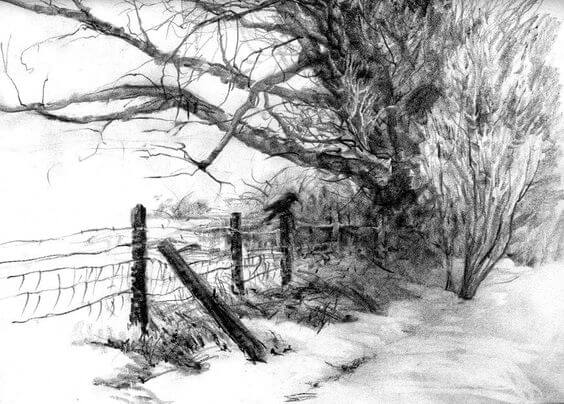 Best Pencil Drawings Nature - Just go Inalong