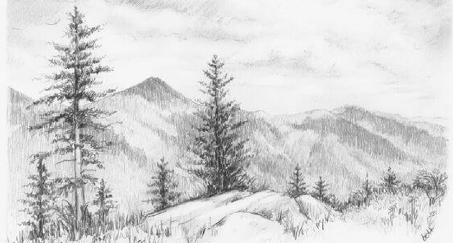 nature pencil sketches gallery