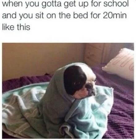 29 Of The Most Relatable Pics That Will Perfectly Sum Up Your Life