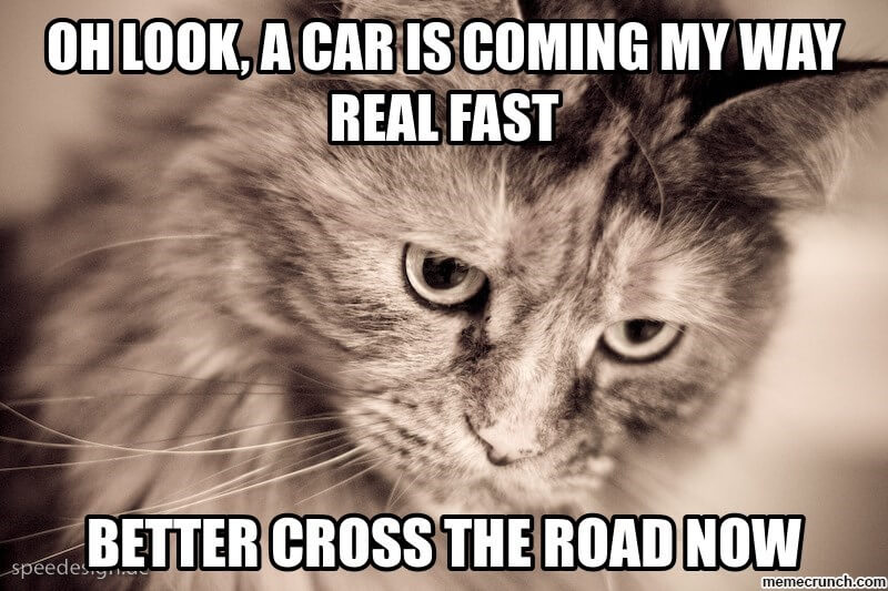 20 Cat Logic Memes Only Cat Owners Will Understand And Laugh With Tears 