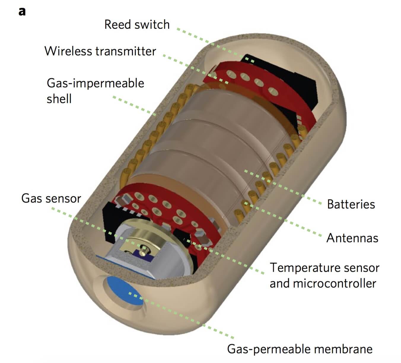 ingestible pill to track fart development in real time 2 (1)