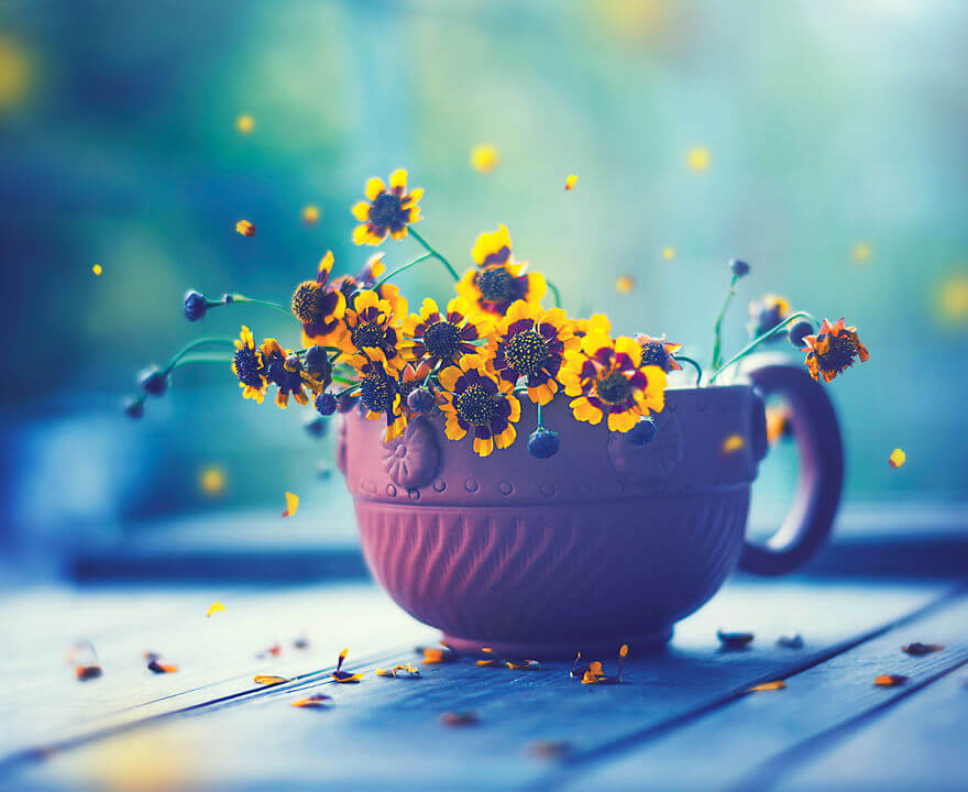 whimsical flower pics ashraful arefin 11 (1)