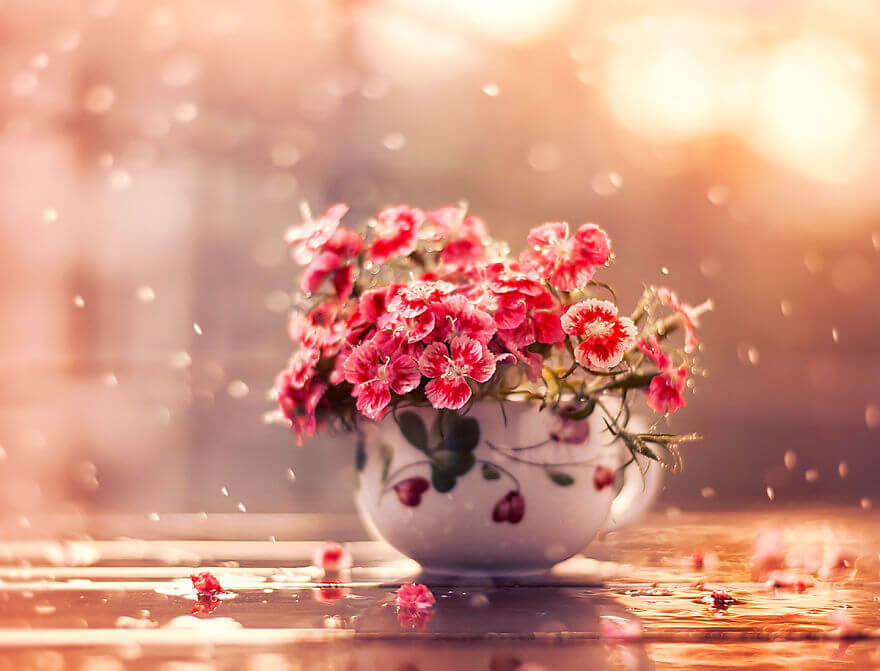 whimsical flower images ashraful arefin 3 (1)