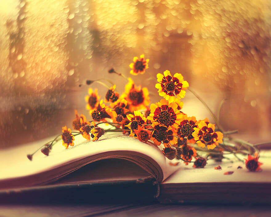 whimsical flower pictures ashraful arefin 7 (1)