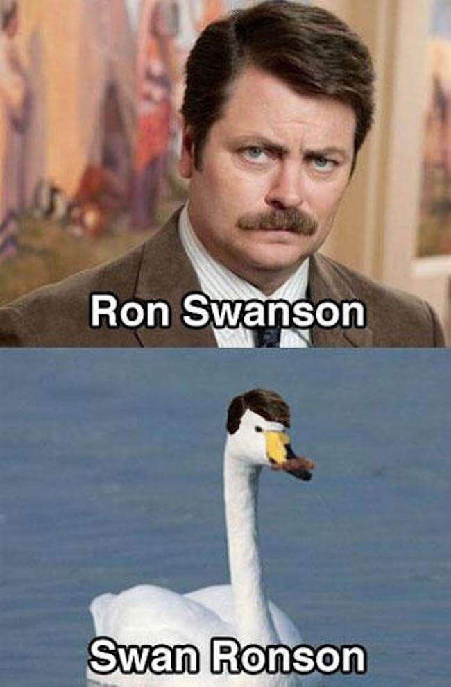 52 Funny Celebrity Name Puns To Make You Feel Better About Your 