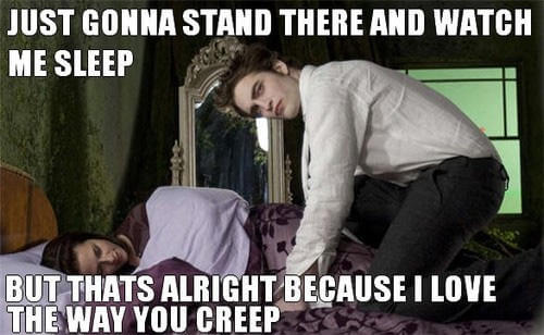 Funny Twilight movie burns 24 (1)