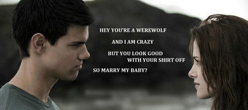 Funny Twilight puns 4 (1)