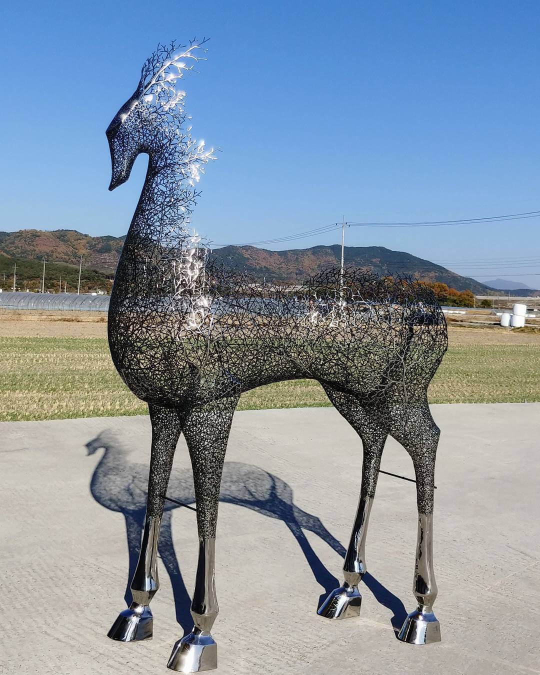 Kang Dong Hyun metal sculpture animals 9 (1)