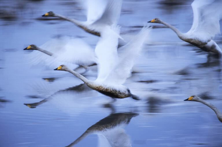 National Geographic Travel Photographer of the Year Winners 2 (1)