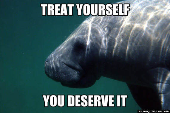 calming manatee 10 (1)