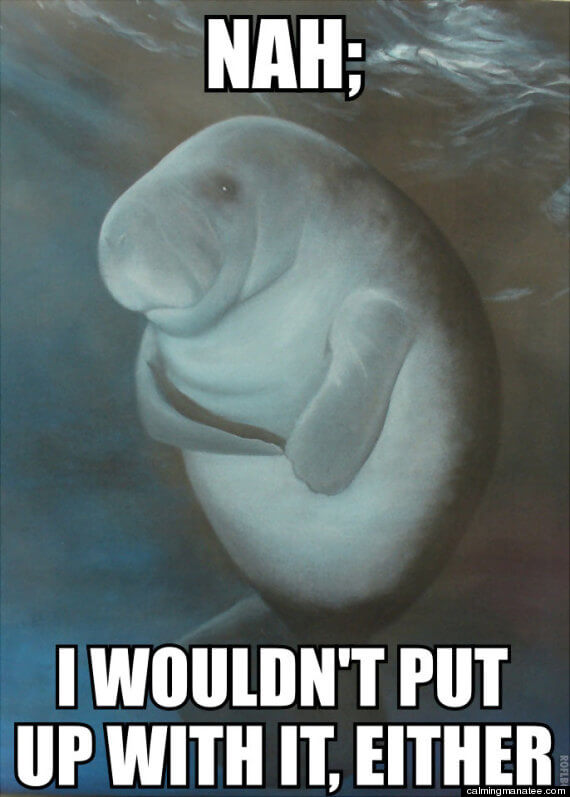 calming manatee 9 (1)