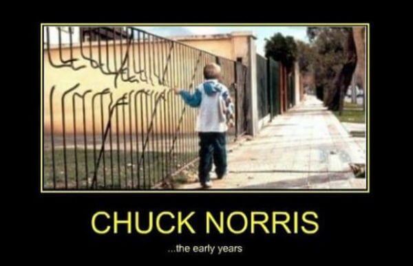 chuck norris funny lines 25