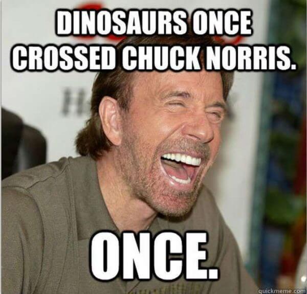 chuck norris pics 32