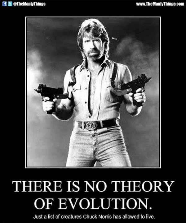 chuck norris movies 39 (1)