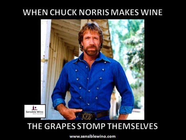 chuck norris memes 43