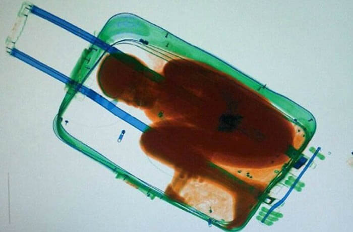 craziest things found by airport security 13 (1)