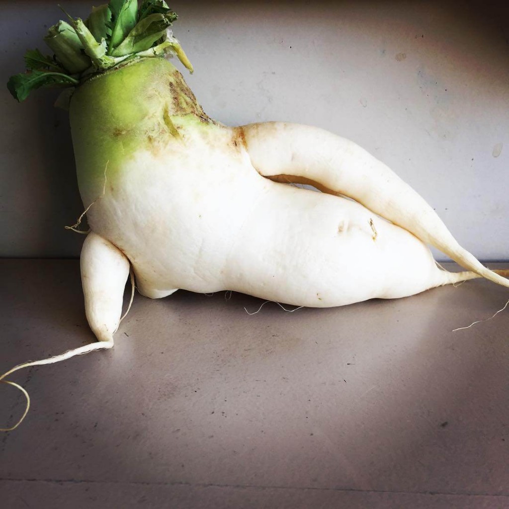 sexy daikon plush