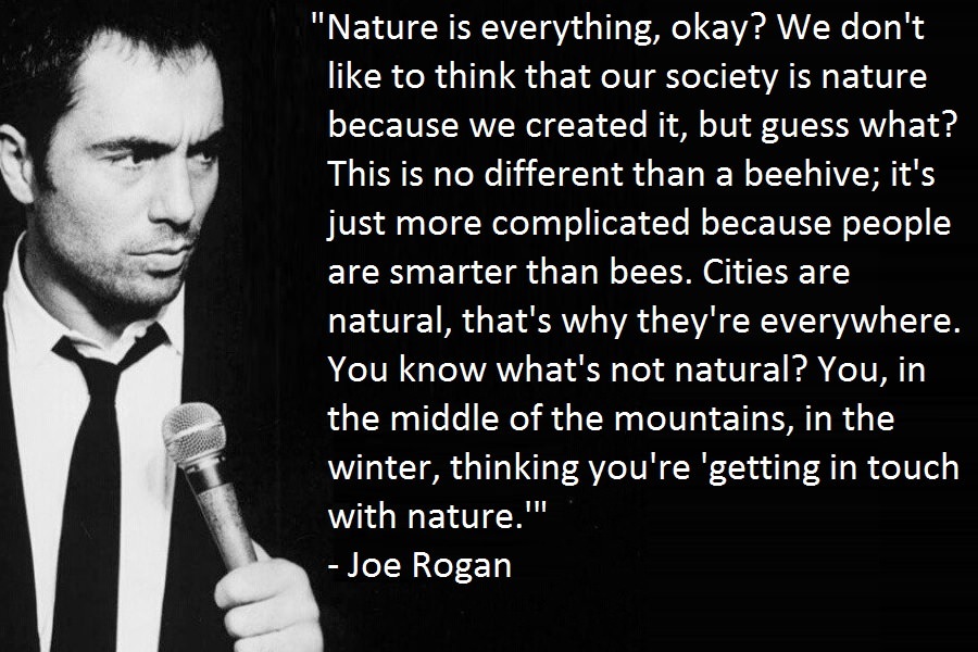 joe rogan qoutes 19 (1)