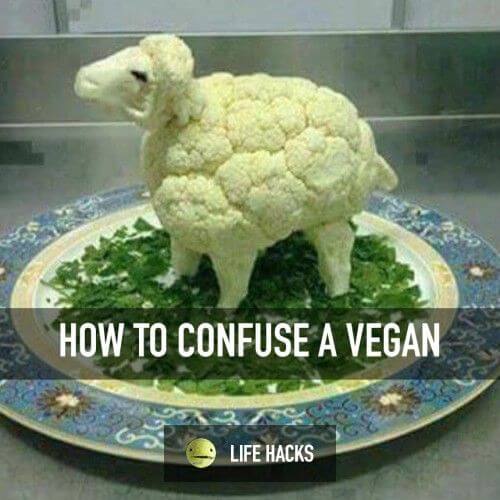 vegan memes 8 (1)