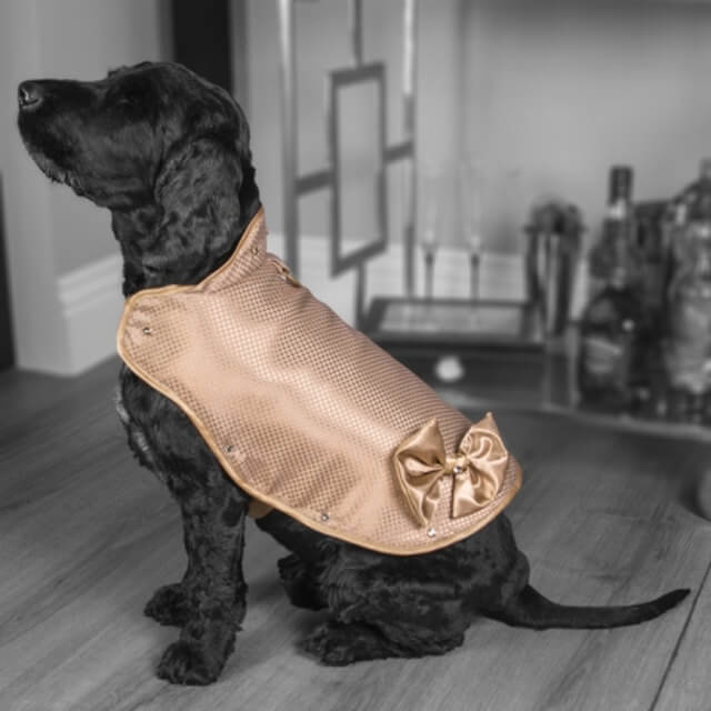 130000 dollars gold diamond protective jacket for dogs 1 (1)