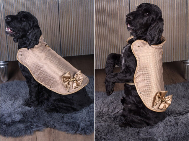 130000 dollars gold diamond protective jacket for dogs 2 (1)