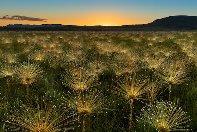 2018 sony world photography awards shortlist 1 (1)