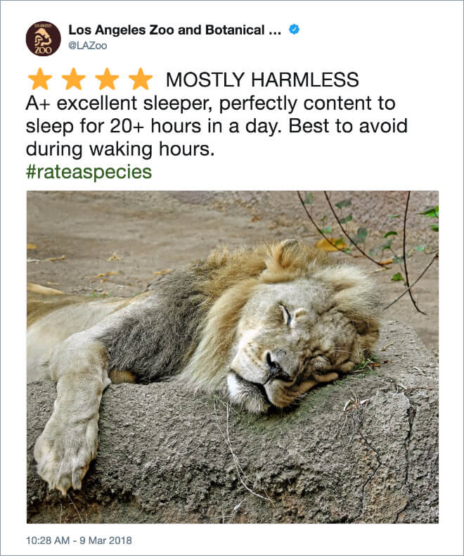 Zoo Leaves Funny Reviews On Their Animals In Tweets And Seriously Goes