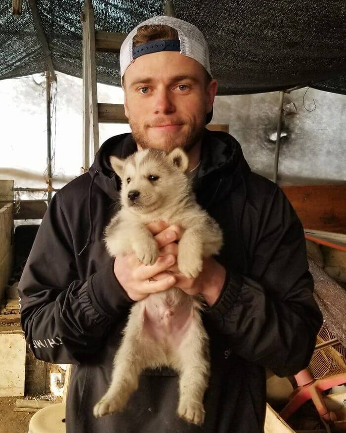 gus kenworthy rescued 90 dogs 11 (1)