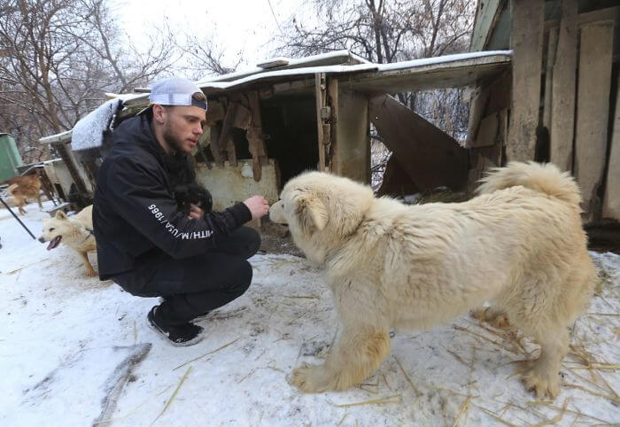 gus kenworthy rescued 90 dogs 12 (1)