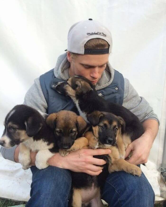 gus kenworthy rescued 90 dogs 14 (1)