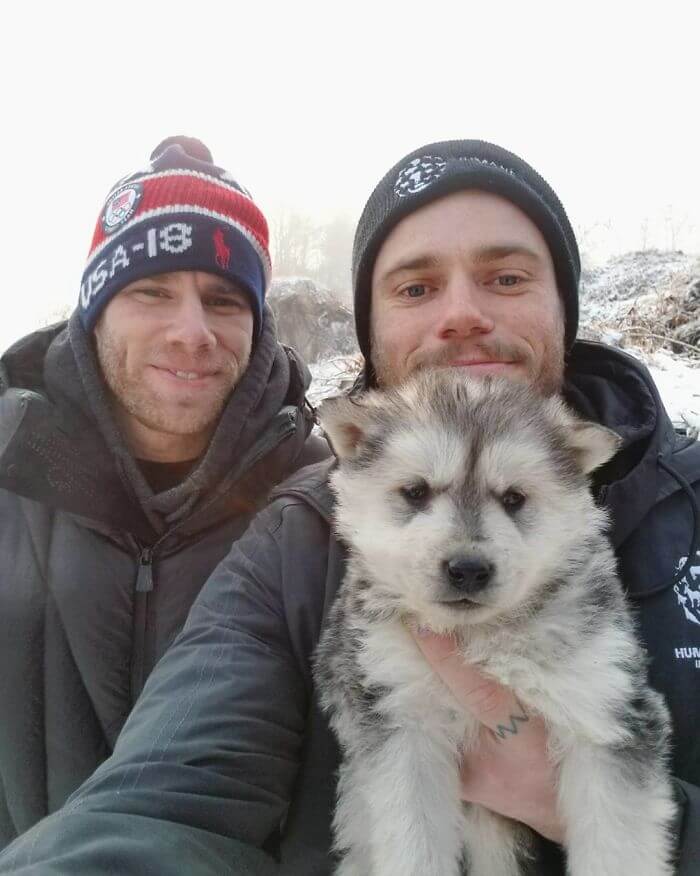 gus kenworthy rescued 90 dogs 9 (1)