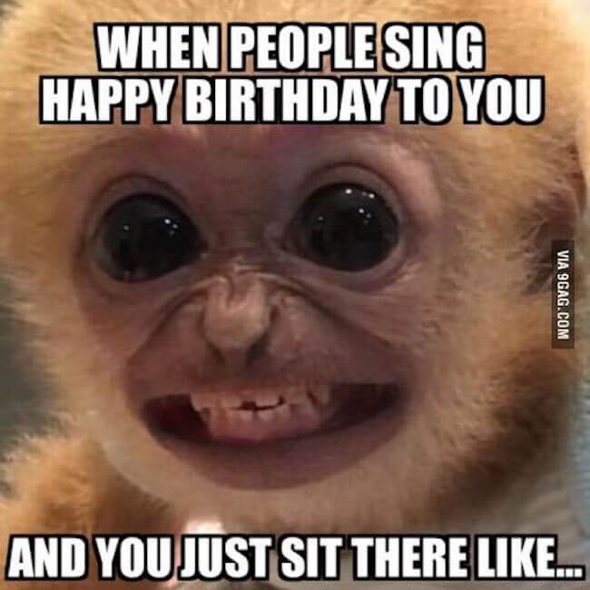 27 Happy Birthday Memes That Will Make Getting Older A Breese 5806