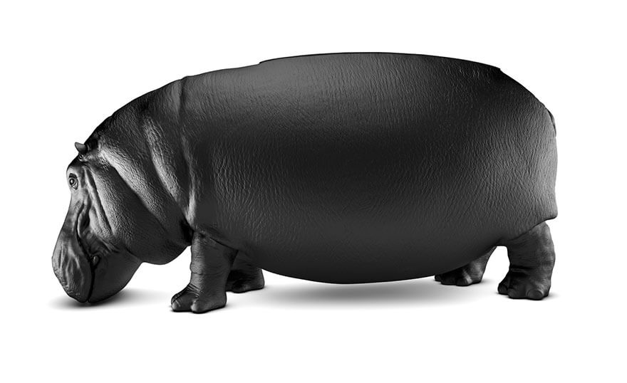 hippopotamus chairs 3 (1)